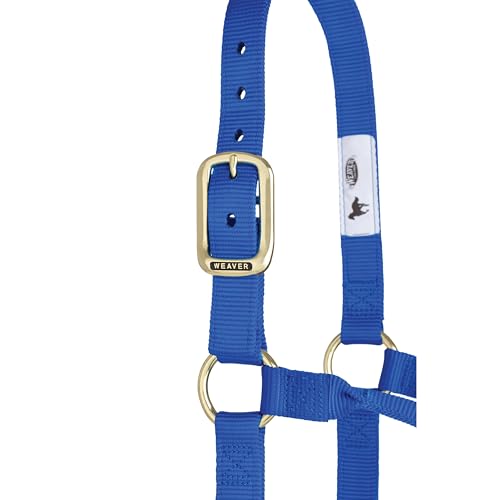 Weaver Leather Original Non-Adjustable Nylon Horse Halter, Small, Blue