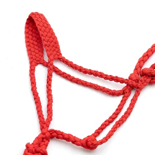 Jeffers Equine Braided Mule Tape Halter with 10' Detachable Lead Rope Set for Horses, 14 to 18 Hands - Stylish Design with Adjustable Poll Strap, Easy to Use Western Tack - Red - color: Red