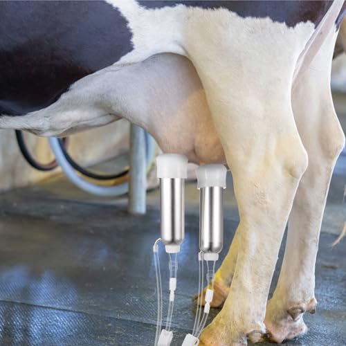 Threlaco Milking Machine Accessory Cow Teat Cup, Double Cup with Tube for Cow, Sheep, Camels, Farm Tool(Stainless Steel)