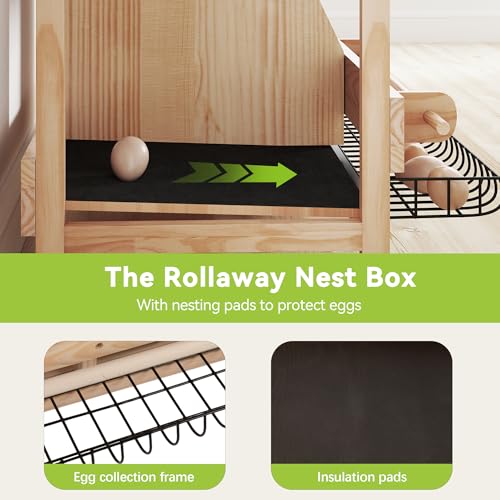 COZIWOW Nesting Boxes for Chickens 2-Tire,Roll-Away Egg Collection-with Wire Mesh and Insulation Pads, Waterproof Wooden Chicken Nesting Boxes with Perches for Hens,Ducks,Poultry,Birds,Doves