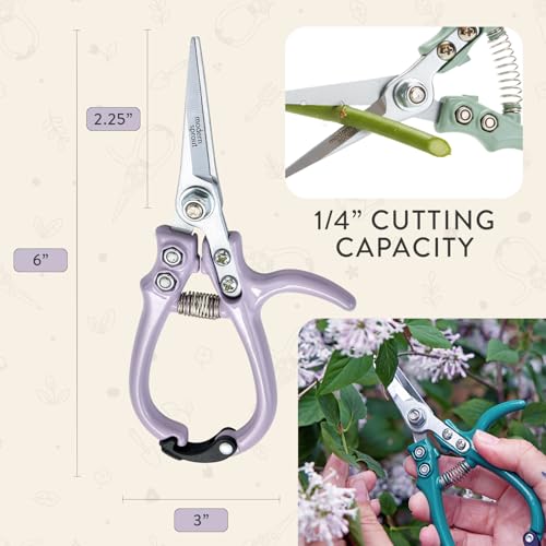 Modern Sprout Pruning Shears- Garden Snips - Herb Scissors- Lavender 1-Pack | Lightweight Gardening Tool - Durable Carbon Steel Blade W/Easy-Lock - Gardening Supplies - Flower Cutter - Reusable Holster - color: Lavender