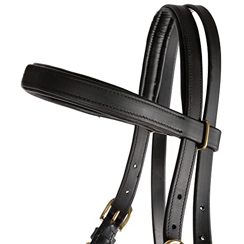 Dura-Tech All Weather Trail Halter for Horses/Bridle Combo | Versatile Horse Riding Essential | All-Weather Endurance | Effortless Conversion