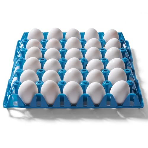 Reusable Egg Tray Plastic Egg Crates Holds 30 Egg Flats for Home Chicken Farmers, Stackable Egg Cartons are Great for Storing, Sorting, and Shipping Eggs (Color May Vary) (20 Pack) - size: 20 Pack