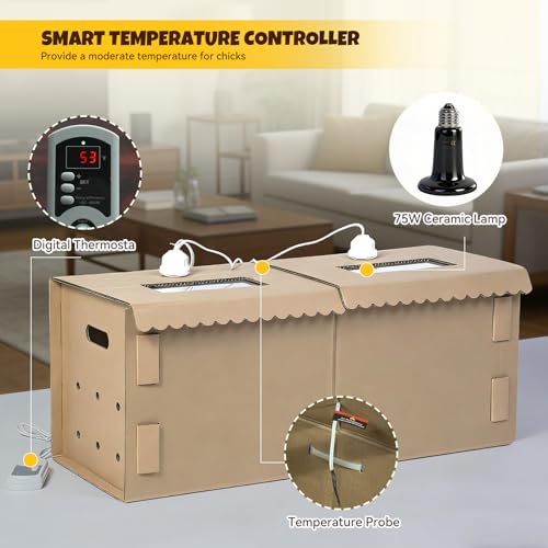 AsFrost 33" Extra Large Chick Brooder Box for 40 Chicks, Dual 75W No-Light Ceramic Heat Lamps, Adjustable Thermostat, 6 Waterproof Pads, Poultry Brooder for Quail, Rabbits & Reptiles
