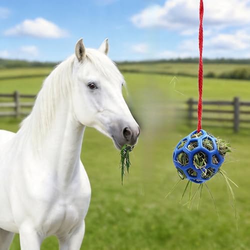 Horse Hay Feeder Ball with Rope, Durable Plastic Slow Feeding Ball for Horses, Equine Chew & Foraging Enrichment, Ideal for Hens Coop Goose Duck Large Birds (Blue)