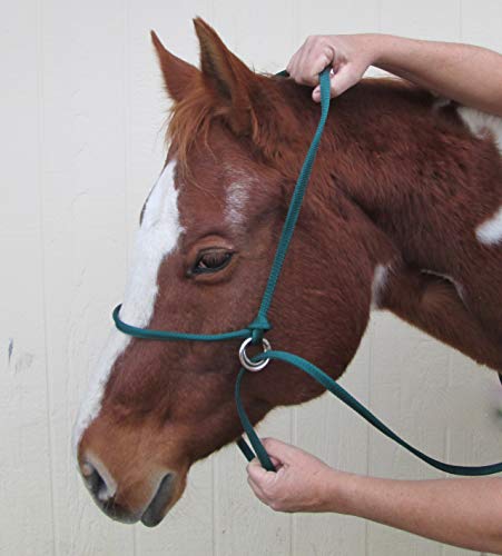 Extra Small - Sheep, Goat, Small Calf Adjustable Halter & Lead USA 250-700bs (Neon Hot Pink)