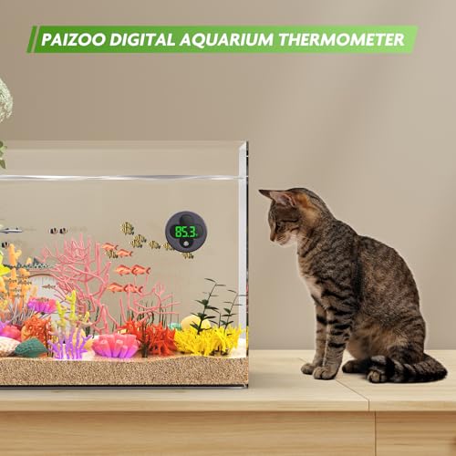 PAIZOO Wireless Aquarium Thermometer Accurate ±0.9℉, Replaceable Battery | LED Fish Tank Thermometer Digital, Switch Between ℉/℃, Aquarium Accessories for Fish Tank, Betta, Axolotl Tank or Aquatic