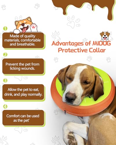 MIDOG Inflatable Dog Cone, Donut Recovery Collar After Surgery, Large+ | Soft inflatable donut e-collar; stops licking after surgery; pet eats & sees normally; neck 11-14 in (L+); not for chewers - color: Kiwifruit, size: Large+ (Neck:11"-14")