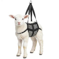 Calf Sling for Weighing Animals, Animal Hanging Scale, Easy to Weigh Newborn Livestock Lifting Harness for Calves, Lambs, Goats, Alpacas, Dogs, Pigs, Adjustable Back Straps