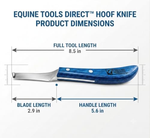 Right-Hand Curved Blade Hoof Knife, J2 420 Magnetic Stainless Steel Blade, Ergonomic Blue Handle, Farrier Horse Hoof Trimming Tool for Sole & Frog Paring - style: Right-Handed