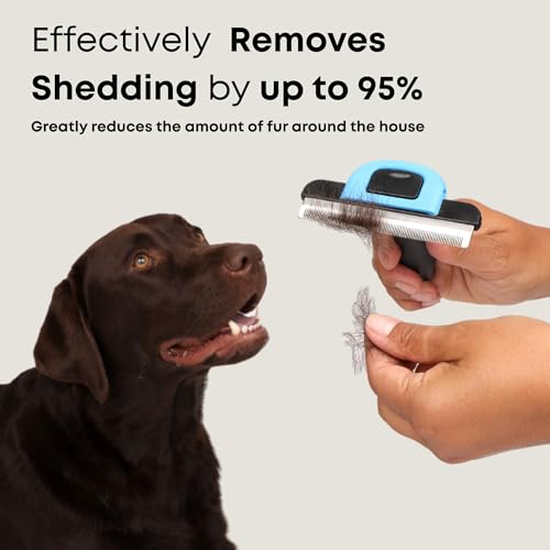 Short Hair Deshedding Brush for Dogs & Cats - Grooming Comb | Short-hair Deshedder Grooming Comb for Dogs and Cats to Loosen and Remove Shedding Fur