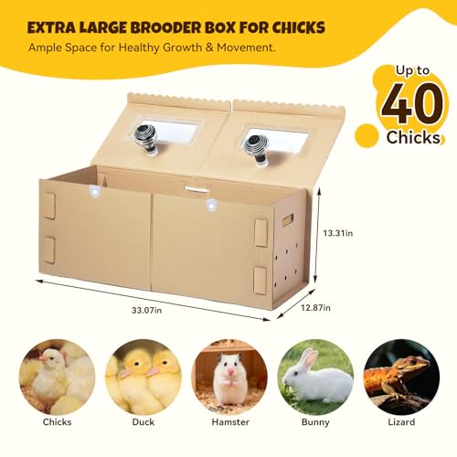 AsFrost 33" Extra Large Chick Brooder Box for 40 Chicks, Dual 75W No-Light Ceramic Heat Lamps, Adjustable Thermostat, 6 Waterproof Pads, Poultry Brooder for Quail, Rabbits & Reptiles