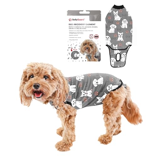 Dog Surgery Recovery Suit, Male Female After Spay Neuter Onesie | Soft Breathable Cotton, Anti-licking Cone Alternative, Protects Stitches & Abdominal Wounds, Patented Clip-up Potty System - color: Silver, size: Mini