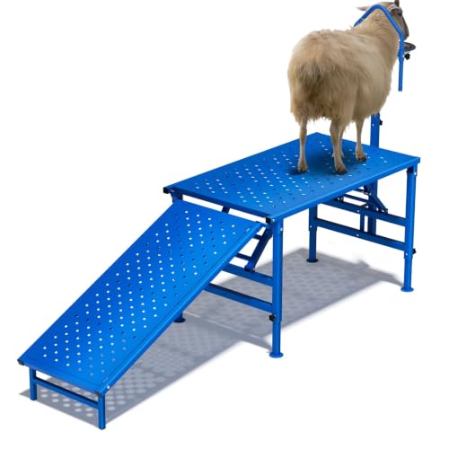 Goat Milking Stand with Ramp, 600LBS Foldable Livestock Trimming Platform, Metal Grooming Stand with Adjustable Headpiece & Stainless Steel Feeder for Nubian & Dwarf Goats