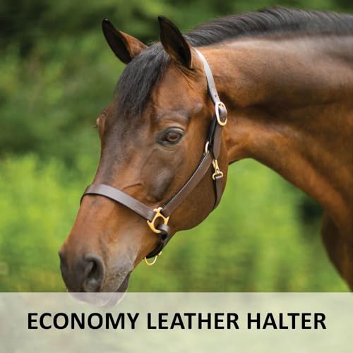 Dura-Tech Premier Lancaster Leather Halter for Horses | Simple Economy Leather Halter with Adjustable Fit & Solid Brass Hardware - size: Full Size
