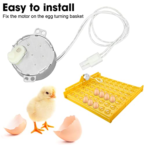 Replacement Egg Turner Motor, 4W Egg Turner Rotator Incubator Motor Electric Synchron Motor with Connector for Chickens Ducks Goose Birds Egg Hatching (100-120v)