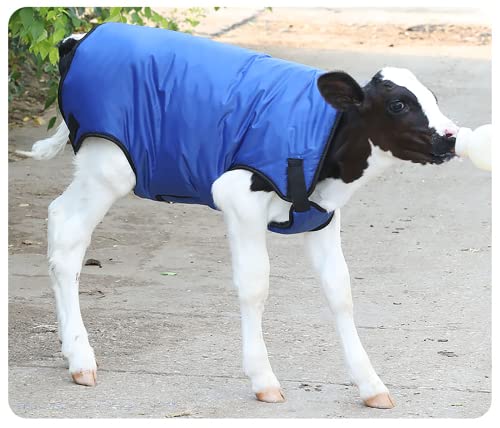 Calf Blanket Warm Clothes Goat Blankets for Winter Keep Calves, Goats, Dogs, Foal, Donkey Warming Thickened Belly Protection Windproof Large Size Blue