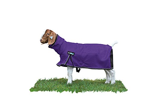 Weaver Leather Livestock ProCool Mesh Goat Blanket with Reflective Piping, Purple, Medium