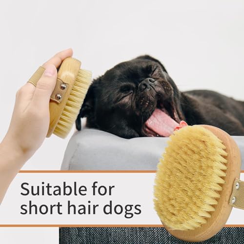 Soft Bristle Pet Brush - Natural Bristle Palm Brush for Short Haired Cats and Dogs with Elastic Band | Natural Bristle Dog Brush with Elastic Band, Soft Brush for Dogs Cats Hair Bristle Brush