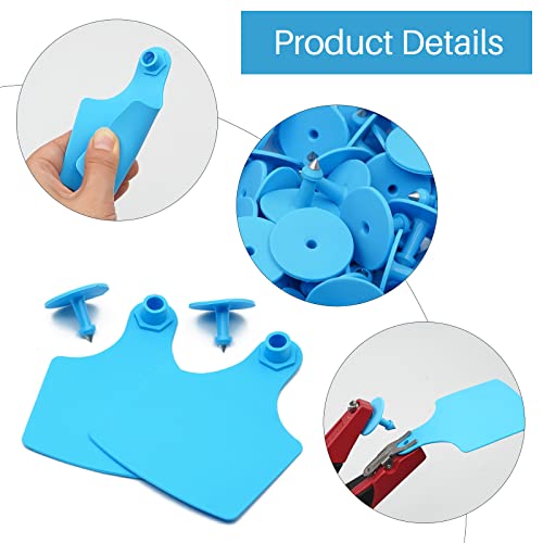 4.1" L×3.5" W Cattle Ear Tags Big Blank 100PCS Livestock Identification TPU | Cow Ear Tags for Cattle Laser Tags for Cows Pigs Hog Goats Sheep Calf Animal Goat Sheep Earring Tags Non-fading (Blue) - color: 5-blue