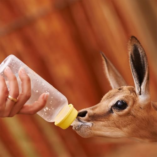 NUOBESTY 1 Set Lamb Feeding Bottles Calf Nursing Feeder Bottles with 8 Replaceable Nipples for Livestock Feeding