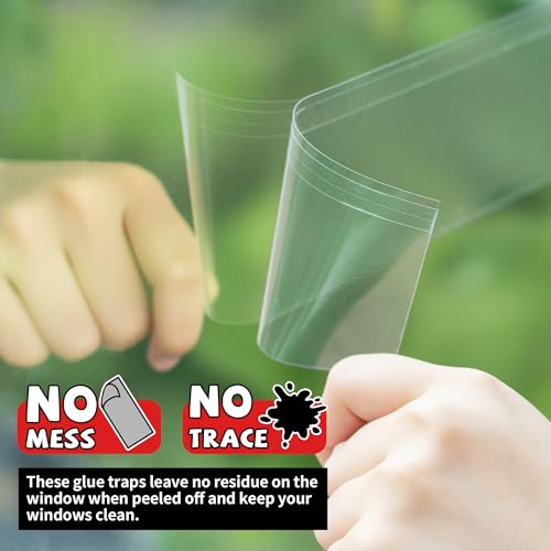 LULUCATCH Window Fly Trap, 12 Pack Fruit Fly Traps for Indoors, Sticky Gnat Trap Bug Trap, Non-Toxic Odorless Flying Insect Trap, Pet Safe Bug Catcher for Fruit Fly, Mosquitos, Fungus & Flying Insect
