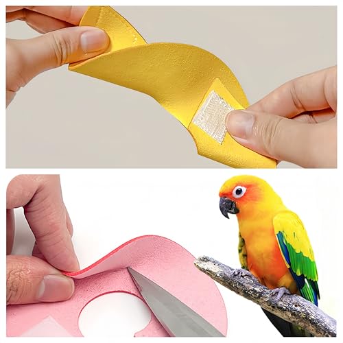 3 Pack Anti-bite Bird Collars Anti-Grab Feather Plucking Wound Healing Safety Elizabethan Collar Neck Protector Recovery Cones for Budgerigar Cockatiel Lovebirds Cockatoo Parrots-L - size: L