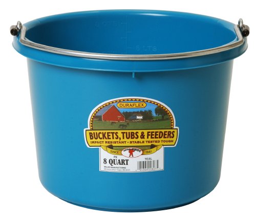 Little Giant® Plastic Animal Feed Bucket | Round Plastic Feed Bucket with Metal Handle | Made in USA | 8 Quarts - color: Teal