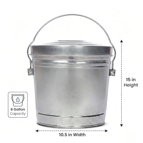 Galvanized Steel Storage Can, 6 Gallon with Locking Lid, Rodent & Rust Resistant Metal Bin for Pet Food, Bird Seed, Charcoal