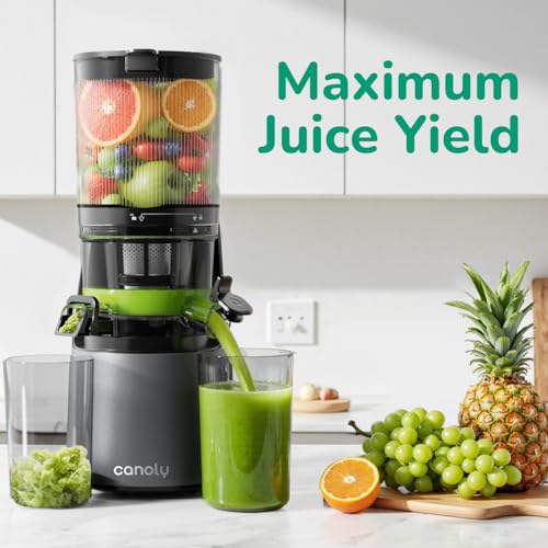 Canoly 3-in-1 Cold Press Juicer C16, Makes Juice & Sorbet & Nut Milk | 6" Extra Wide Feed Chute, Powerful AC Brushless Motor, Self Precut System, Juicer Machines with BPA-Free (Space Gray) - color: Space Gray