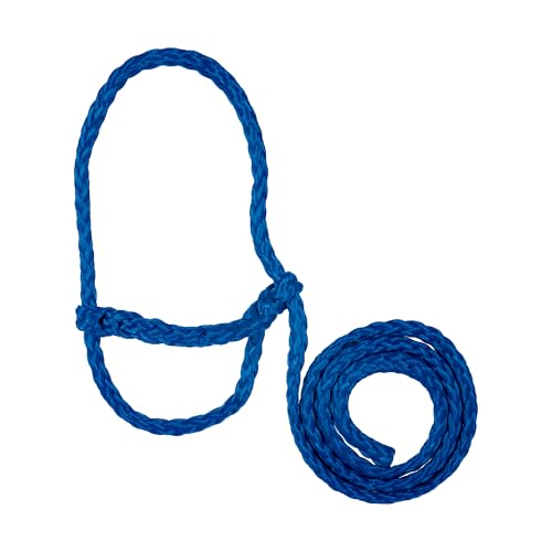 Weaver Livestock Poly Rope Sheep Halter, Modern Style Braid Sheep and Goat Rope Halter, Adjustable Lamb Halter Lead, Livestock Sheep Showing Supplies - color: Blue