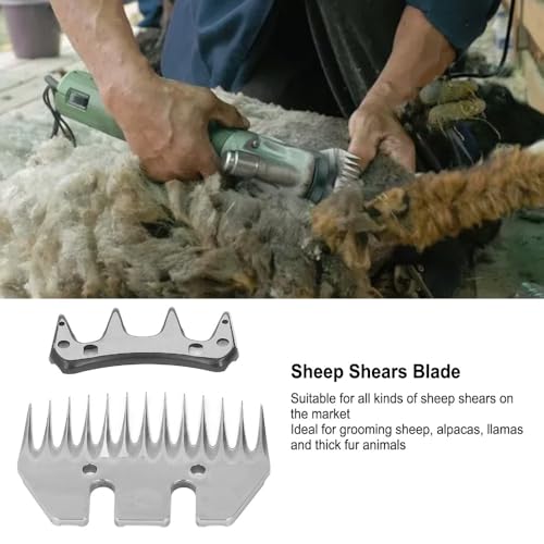 Sheep Shears Blade, Straight 13 Tooth Replacement, 2 Pack | High Carbon Steel, 7mm Teeth Spacing, For Llamas And Thick Fur Animals, 2 Pack, Clean After Use