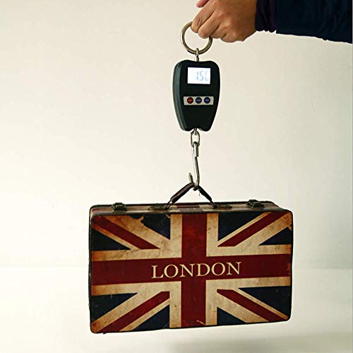 Hanging Weight Scale Industrial Heavy Duty for Farm, Hunting, Bow Draw Weight, Big Fish & Hoyer Lift with Accurate Sensor Digital, Professional (440LBS Black) - color: 440LBS Black