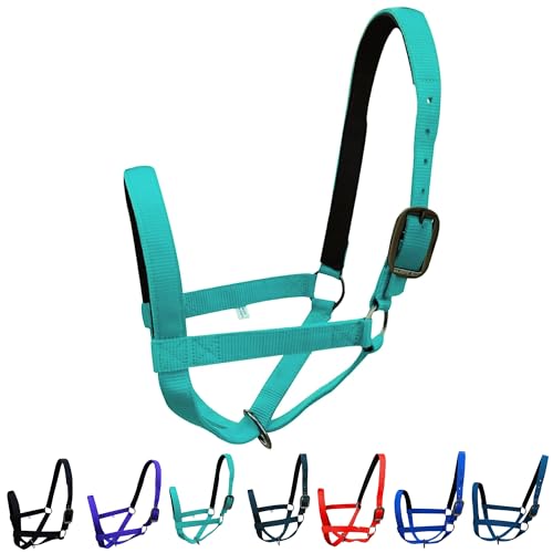 Majestic Ally Adjustable Nylon Cattle Halter with Padded Crown and Nose - 6-Month Warranty - color: Turquoise