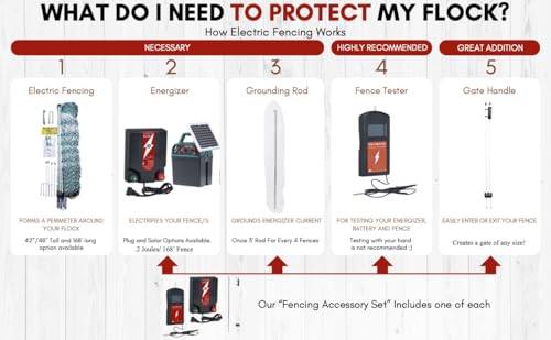 RentACoop 42" Electric Anti-Predator Poultry Fence and 0.6 Joule Plug-in Electric Fence Energizer Bundle