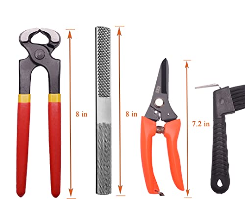 LONG RIVER 8 inch Farrier Tool Kits （5 Piece） Mini Rasp Hoof File Equine Metal Shears Farriers Hoof Nipper for Goat Pig