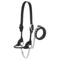 Weaver Leather Livestock Dairy/Beef Rounded Show Halter, Black, Large - color: Black, size: Large