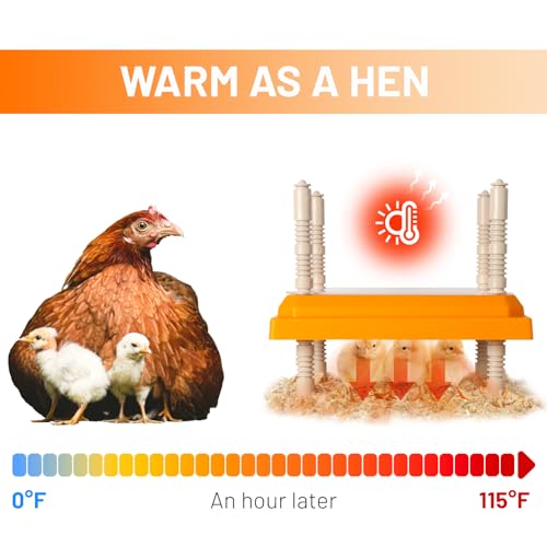 NUGRIART Brooder Heater for Chicks, 10" x 10" for 15 Chicks Heating Plate with Adjustable Height and Angle 15W Chicken Brooder Warm Like Mother Hen