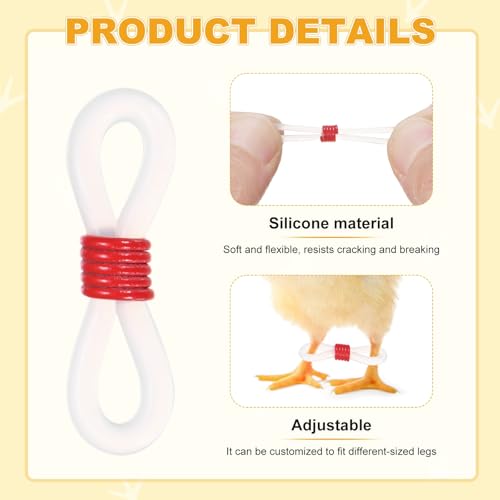 M METERXITY 50-Pack Adjustable Chick Leg Bands, 0.79" x 0.2" Silicone Chicken Leg Brace for Chicks/Ducks/Birds [Red] Poultry Leg Bands - color: Red