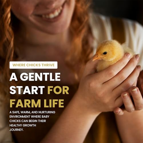 Chick Brooder Box and Heating Plate Starter Kit – Large Indoor Brooder Pen with 75W Adjustable Heat Plate, Feeder, Waterer & Cleaner – Complete All-in-One Chick Coop for 10-15 Chicks