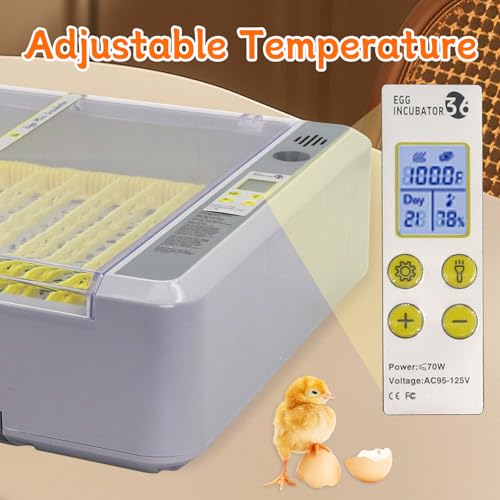 Automatic Egg Incubator, 36 Egg Capacity | Automatic Egg Turner, Thermometer Control & Humidity Control, Egg Candler, 360° View, For Hatching Chicks