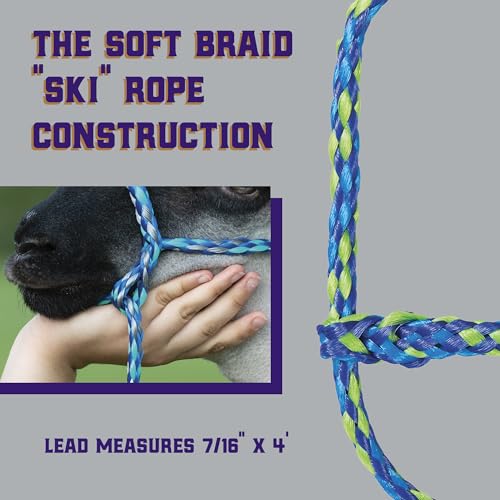 Weaver Livestock Poly Rope Sheep Halter, Modern Style Braid Sheep and Goat Rope Halter, Adjustable Lamb Halter Lead, Livestock Sheep Showing Supplies - color: Lime/Hurricane Blue/Royal Blue