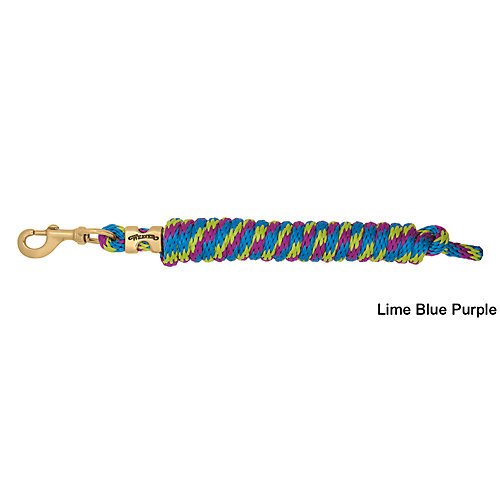 Weaver Leather Poly Lead Rope, Blue/Turquoise/Green, 5/8-Inch x 10-Feet