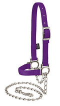 Weaver Leather Livestock Nylon Adjustable Sheep Halter with Chain Lead