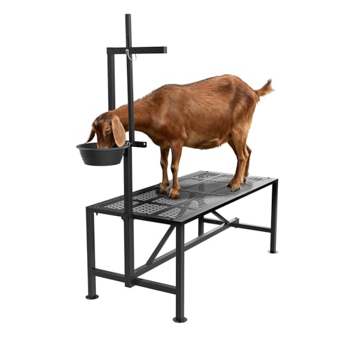 Upgrade Goat Milk Stand with Feed Bin, 600lbs Goat Stand for Grooming & Hoof Trimming, 1mm Thick Platform & Anti-Slip Design, Goat Grooming Stand with Firm Head Lock and Adjustable Head - size: L - 48"L x 19"H