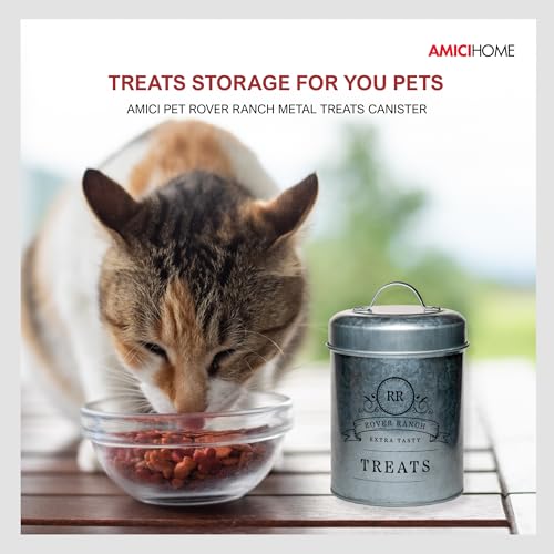 Amici Home Rover Ranch Metal Pet Treat Canister, 64 Oz - Silver | Airtight Treat Storage Jar with Silicone Gasket, Wide Mouth, Lid Handle, Pet Snack Container for Biscuits & Training Bites - style: Treats
