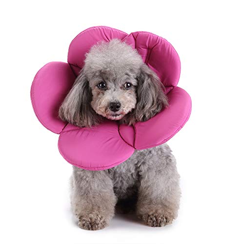 Dog Cone E-Collar Flower Soft Elizabethan Waterproof Grooming Recovery Protective Adjustable Collar for Puppy Small Medium Dogs (S Neck:9-11in, Purple) - color: Purple, size: S Neck:9-11in