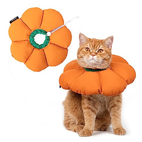 Cat Cone Collar,Cute Waterproof Recovery Collar,Anti-Bite Lick Wound Healing Safety Elizabethan e Collar for Cats,Orange Pumpkin Cat Halloween Costume - color: Orange pumpkin, size: Large
