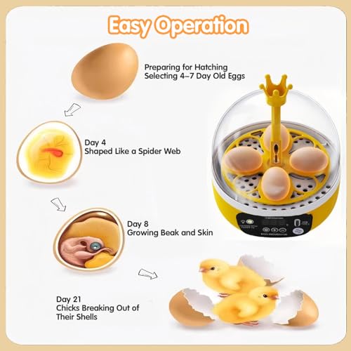 Tissting 4-Egg Mini Incubator with Transparent Lid | 7W Power & Humidity Control | Clear Viewing Window | Manual Egg Turning | for Chicken, Duck, Quail, Pigeon(Manual Turning) - color: 4 Eggs Manual Turning