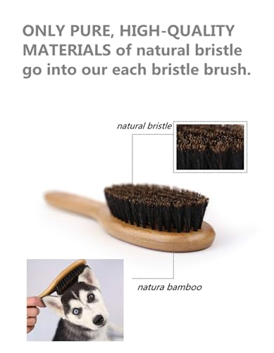 Patina Pet Grooming Brush with Boar Bristles | Professional Daily Grooming for Soft Hair, Reduces Shedding, Gentle Massage, Healthy Shine